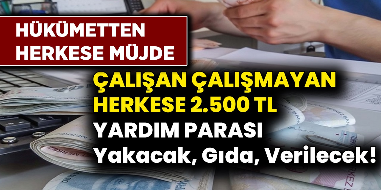 Hükümet Düğmeye Bastı! Yeni destek paketi açıklandı: Başvuran Herkese 2 Bin 500 TL Ödeme Yapılacak